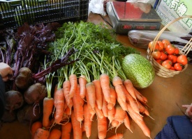 園内で自由行動（有機野菜販売など）ご希望の方は空き時間に有機野菜の購入